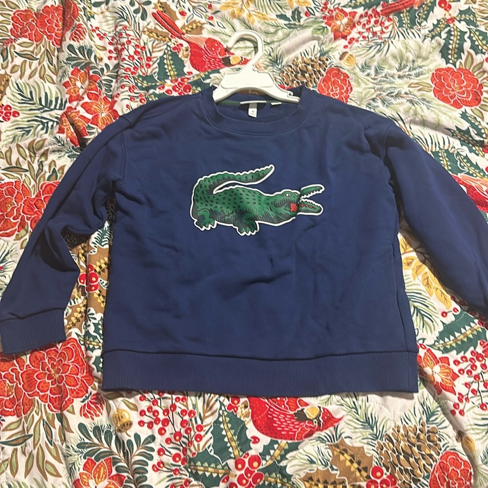 Lacoste sweater/sweatshirts boys